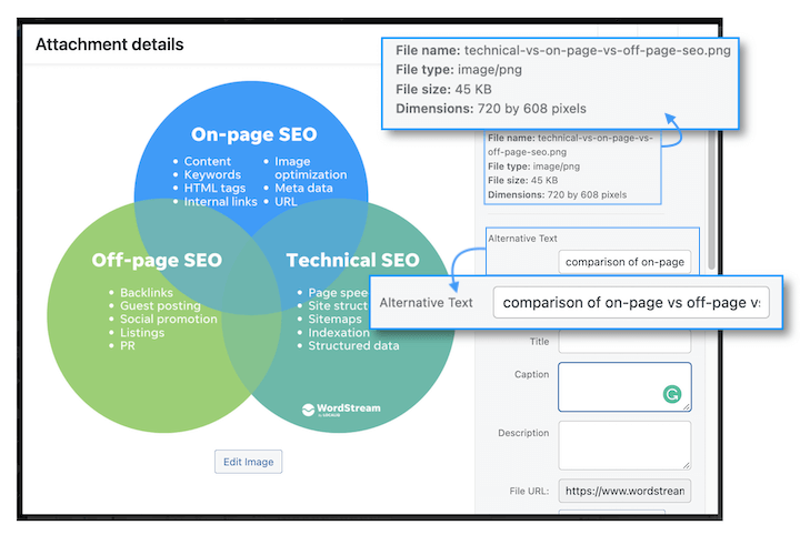 Benefits of Enrolling in a Link Building Course