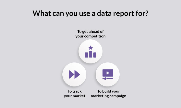 Data Report