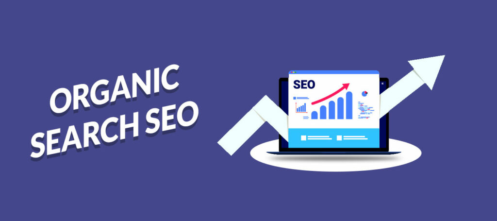 Organic Search SEO