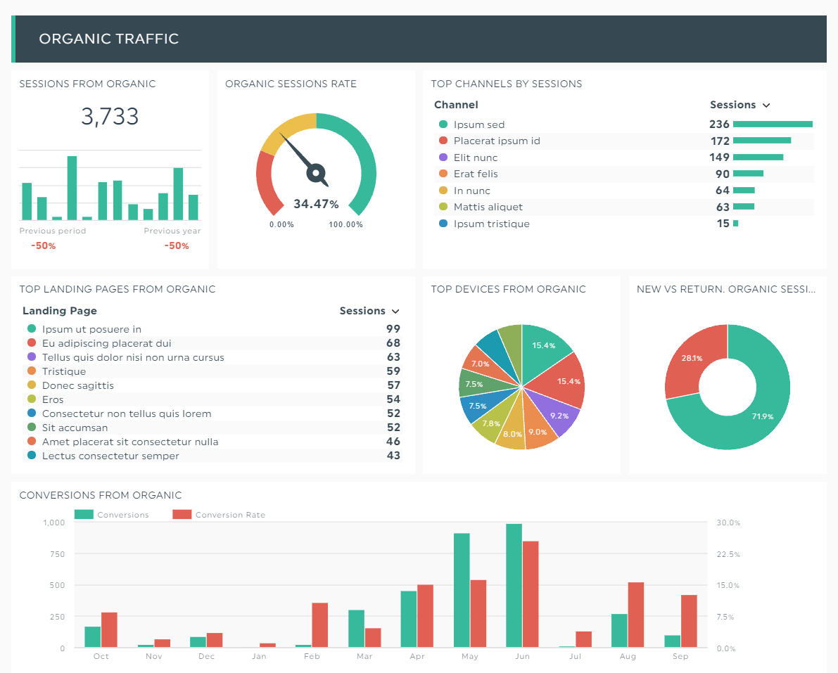 SEO Data Report