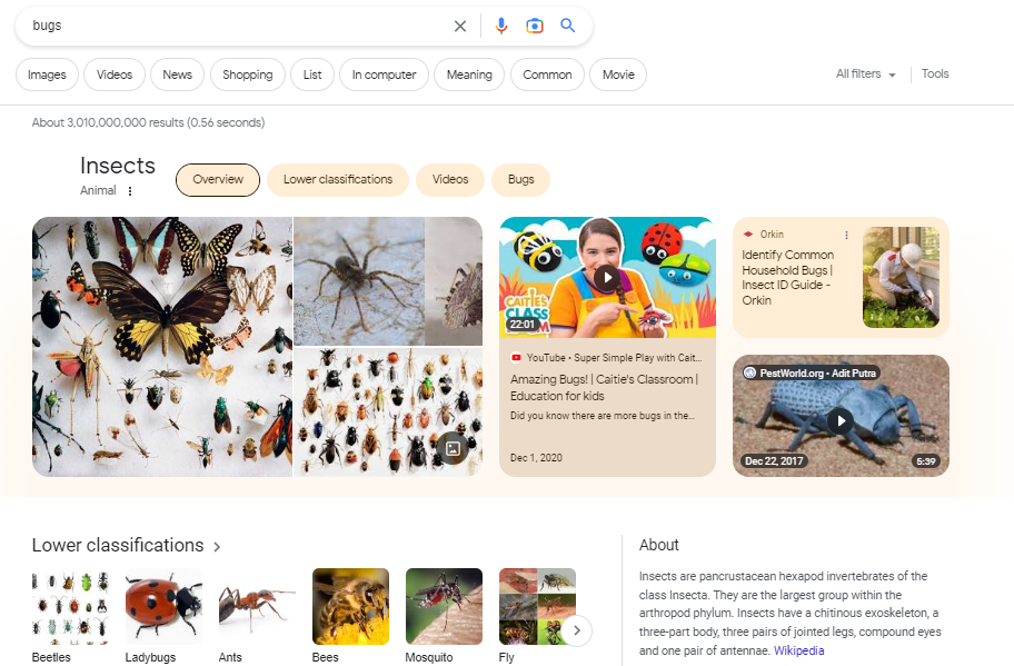 search intent