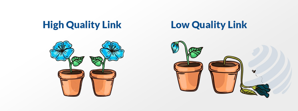 how much does link building cost